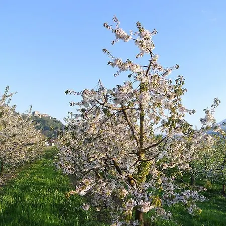 Farm stay Agriturismo Bortolotti
