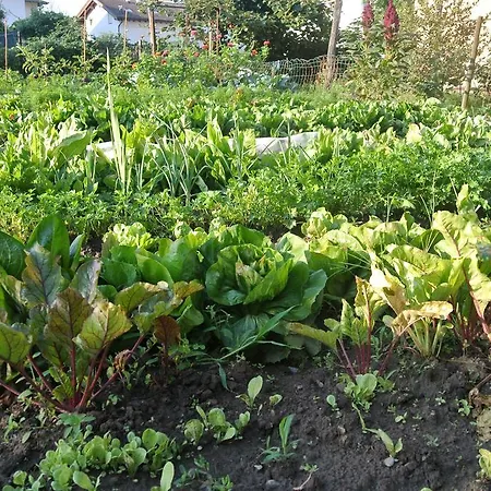 Agriturismo Bortolotti Farm stay *